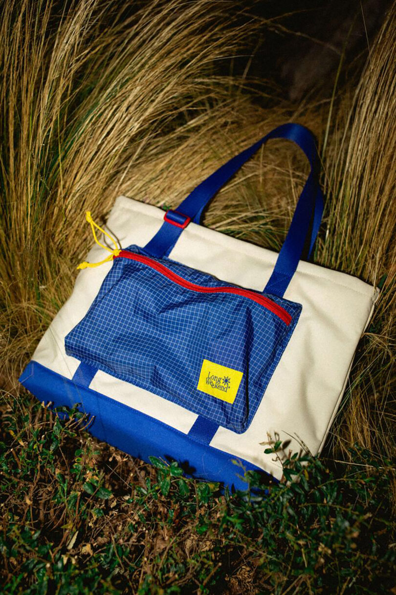 Long Weekend 18L Beacon Tote bag set across tall grass