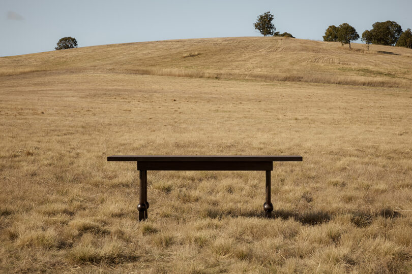 dark wood console table in an off-season field