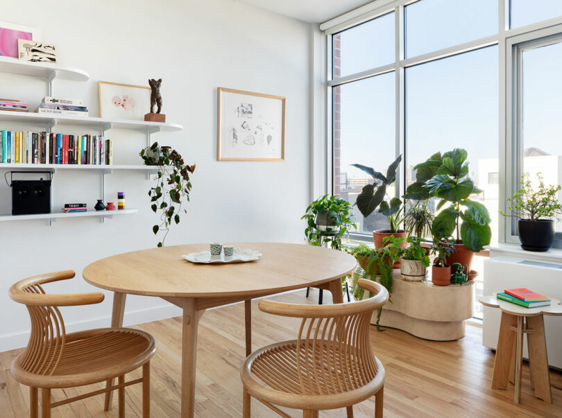 A dining table, chairs, and planter.