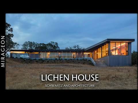 Inspired by the Lace Lichen Ramalina | Lichen House