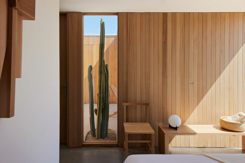 partial view of modern bedroom with window looking to cacti outside