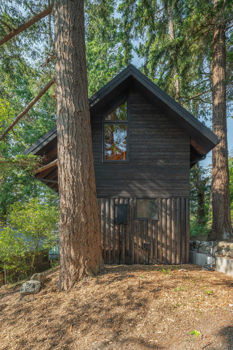 back exterior view of black two-story narrow cabin in woods