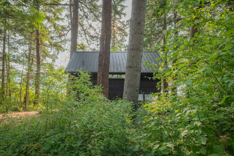 exterior view of black two-story narrow cabin in woods