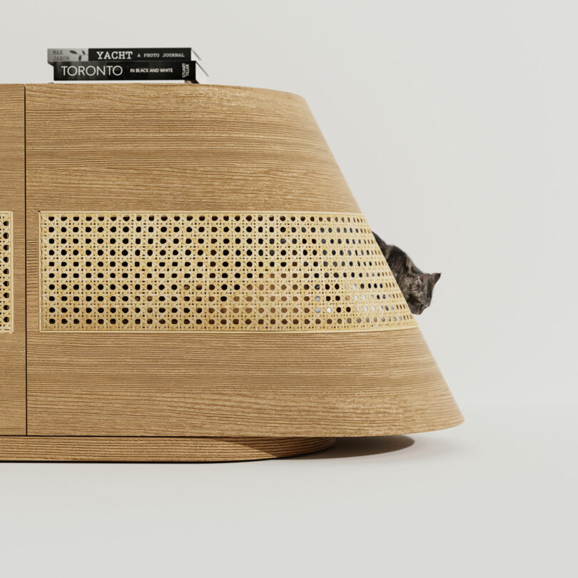 A cat is sitting in a wooden console with a book inside.