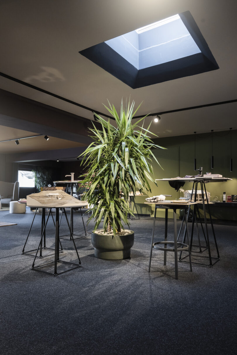 Modern office break area with skylight, plants, and assorted seating, including NOA seating.