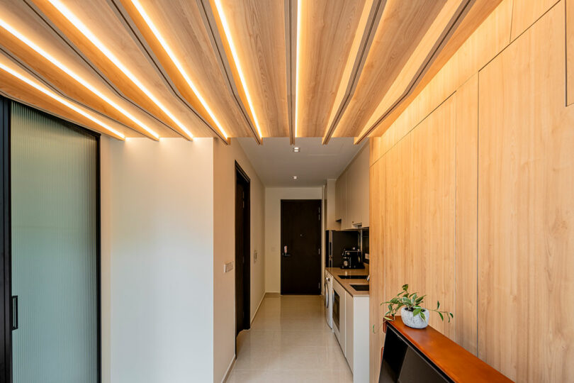 Modern hallway with wooden walls and ceiling featuring linear lighting, leading to a kitchen on the left and an entrance door ahead.