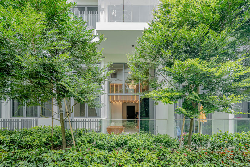 Exterior view of modern condo building with white exterior with green trees and plants in front