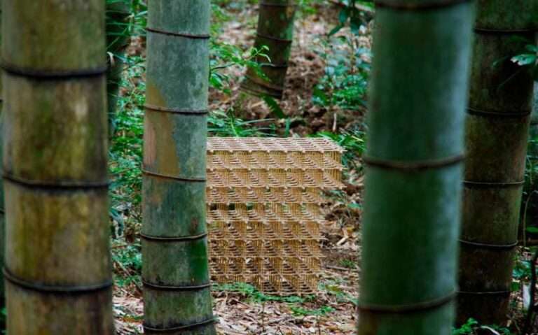 arashi abe ties recycled bamboo strands with hemp cords for hazy-looking take higo stool