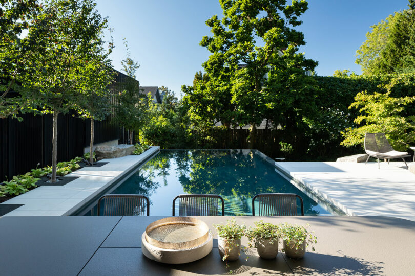A modern backyard featuring a long, rectangular swimming pool surrounded by lush greenery and trees, with a stylish lounge chair and a table displaying plants and a hat.