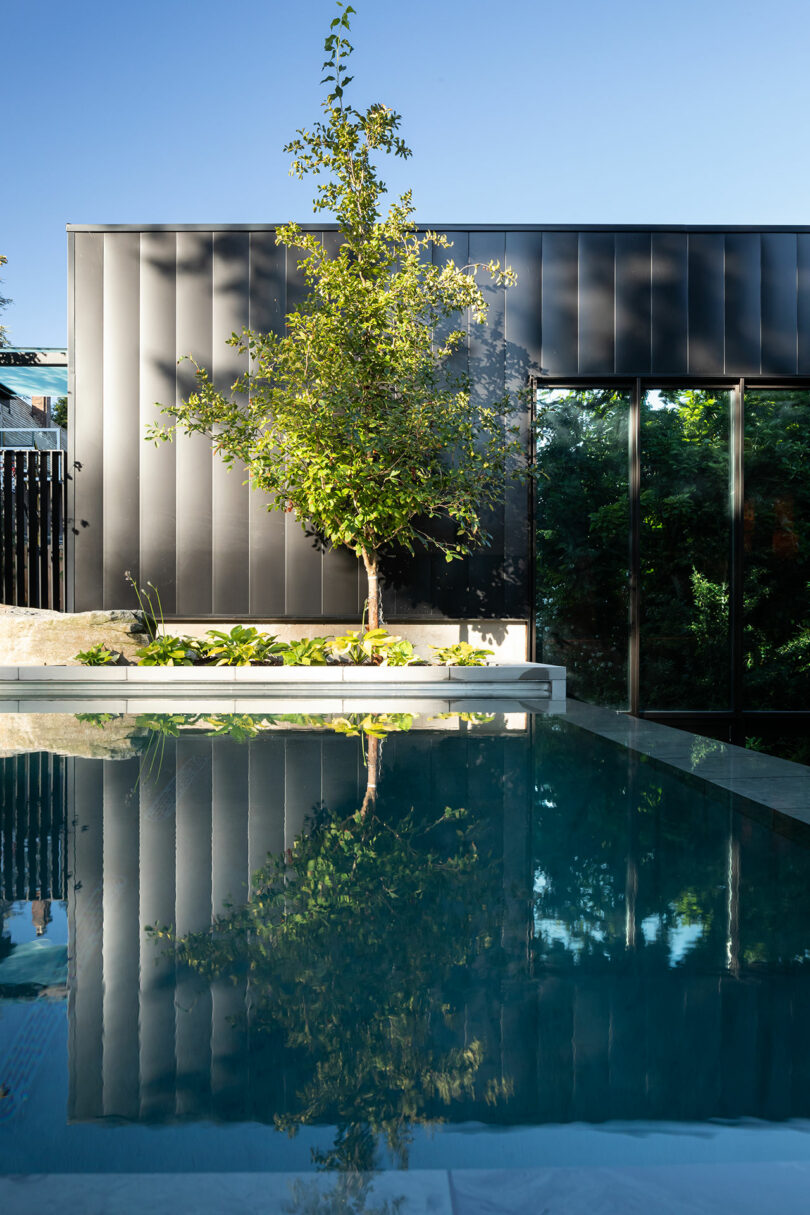 A building facade with a reflective glass facade, featuring a solitary tree in front and its reflection in a still, clear swimming pool.