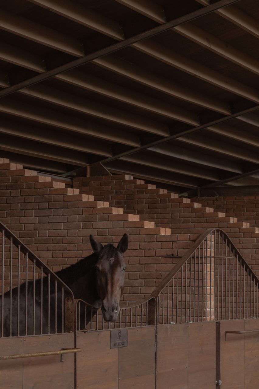 Horse pokes its head over a metal gate inside the stables