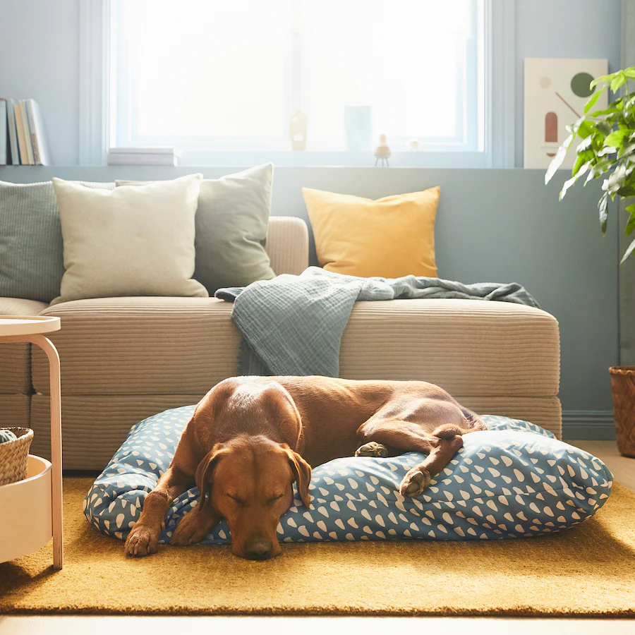 dog laying on large pet bed in living room