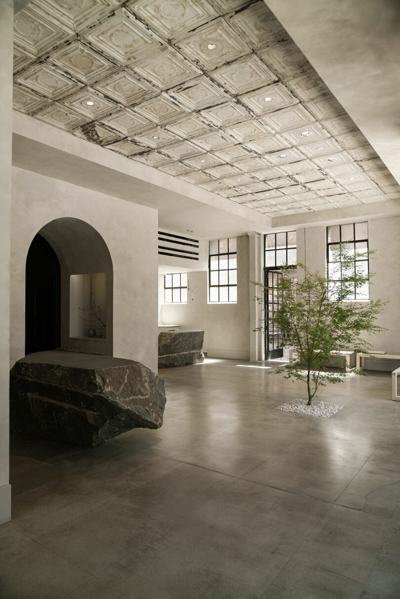 Minimalist interior space featuring a decorative ceiling, large windows, and a potted tree.