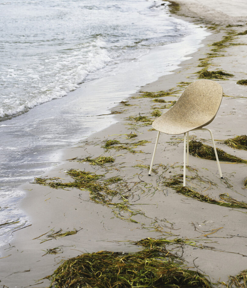 chair on the beach next to seaweed