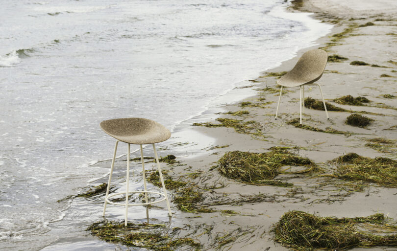 two chairs on the beach next to seaweed