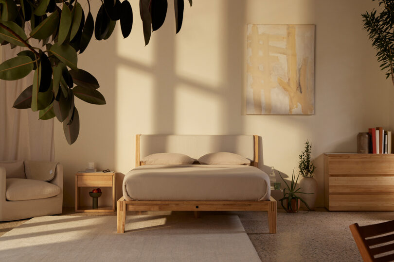 Sunlit modern bedroom featuring a wooden platform bed with white bedding, artwork on the wall, and a large plant.