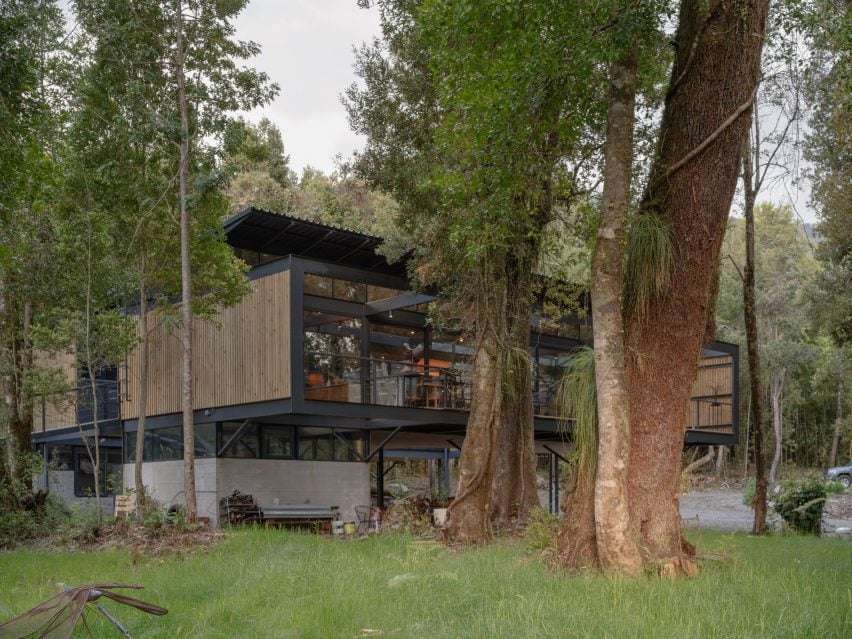 House in the trees