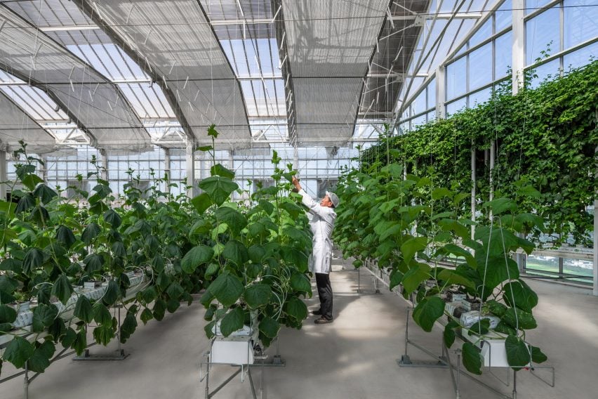 Interior production view of Vertical Farm Beijing by Van Bergen Kolpa Architecten