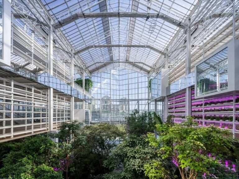 Vertical Farm Beijing greenhouse is a "beacon in the city"