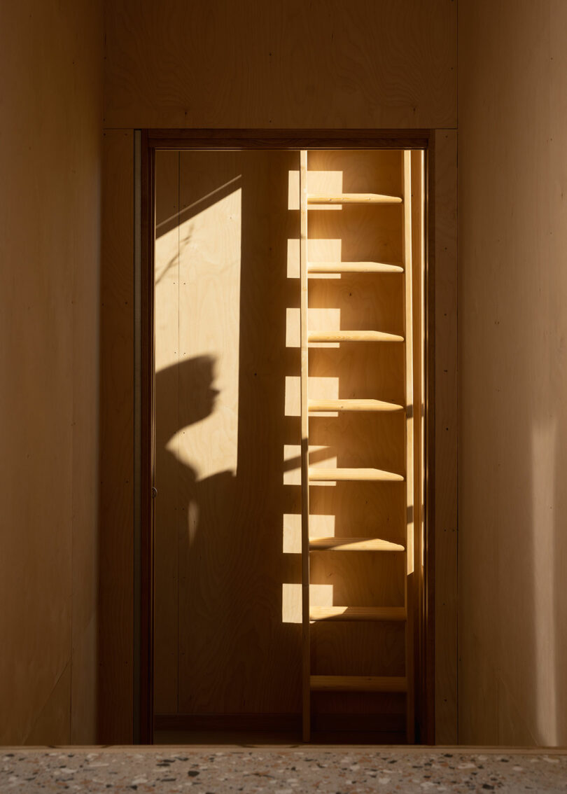 A wooden ladder against a wooden wall in a narrow space is partially illuminated by sunlight, casting shadows on the surrounding surfaces.