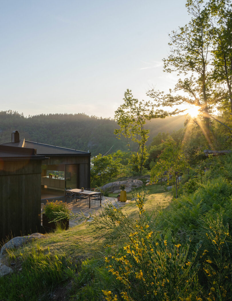 A modern house with large windows is situated on a hillside at sunset, surrounded by trees and greenery. Sunlight filters through the trees, casting a warm glow over the natural landscape.