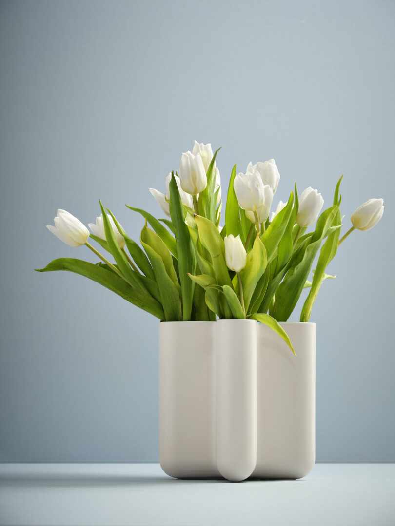 white ceramic vase with white tulips inside