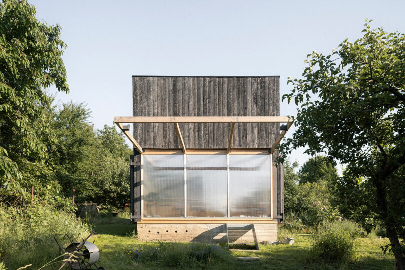 A small, modern wooden house with large windows stands in a green, grassy area surrounded by trees on a clear day.