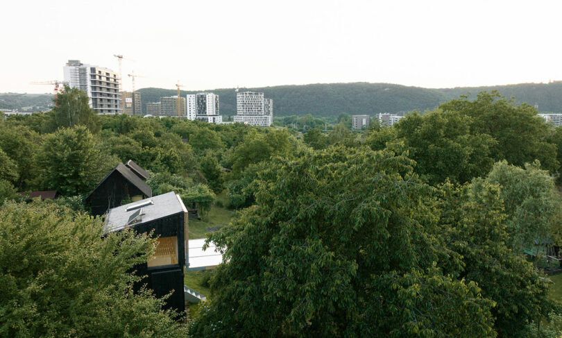 Aerial view of a black house surrounded by dense trees, with modern high-rise buildings and a forested hill in the background.