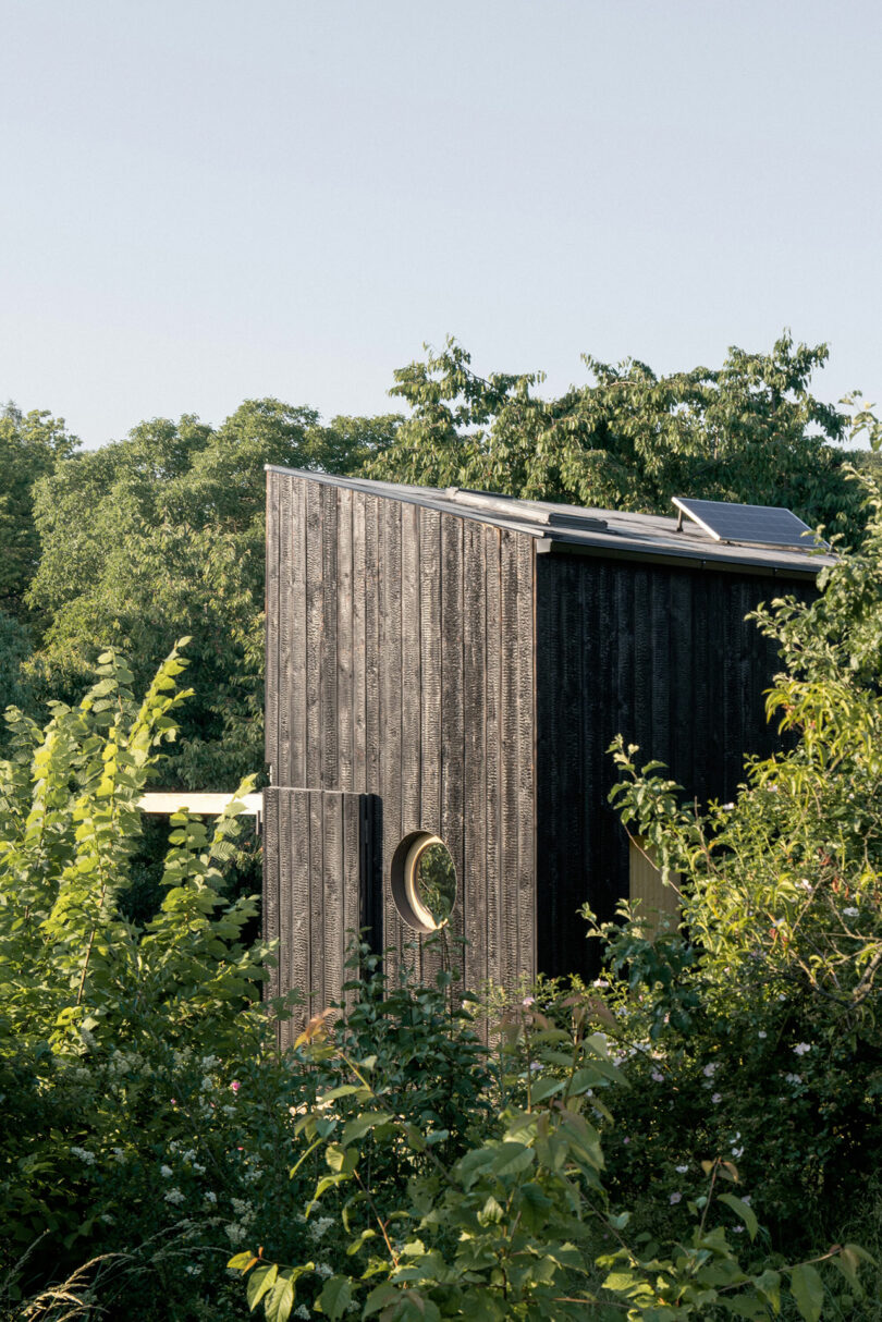 Modern wood-paneled house with a circular window, nestled amid dense greenery and trees under a clear sky.