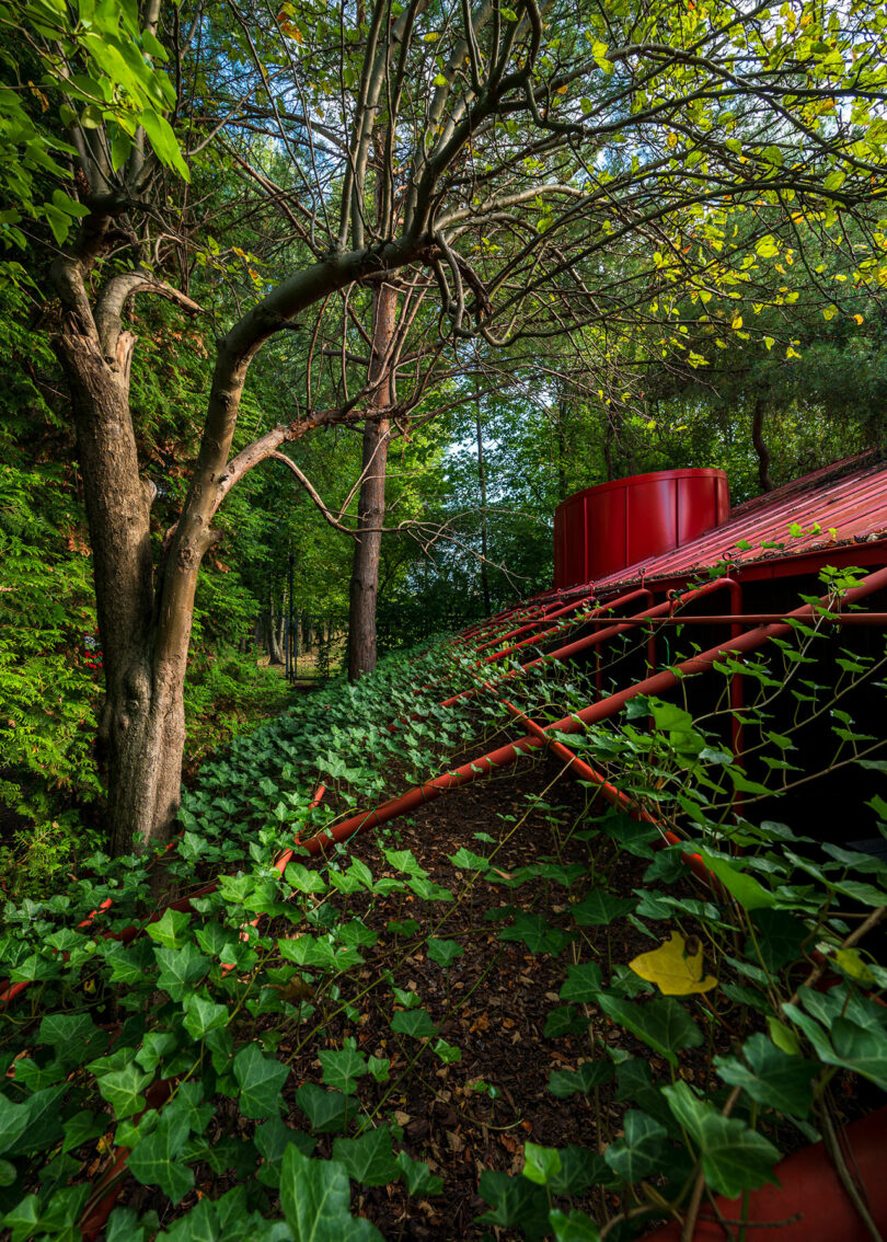 Tree branches and foliage surround a red metal structure, with vines climbing up its angled beams, set in a lush, green forest.