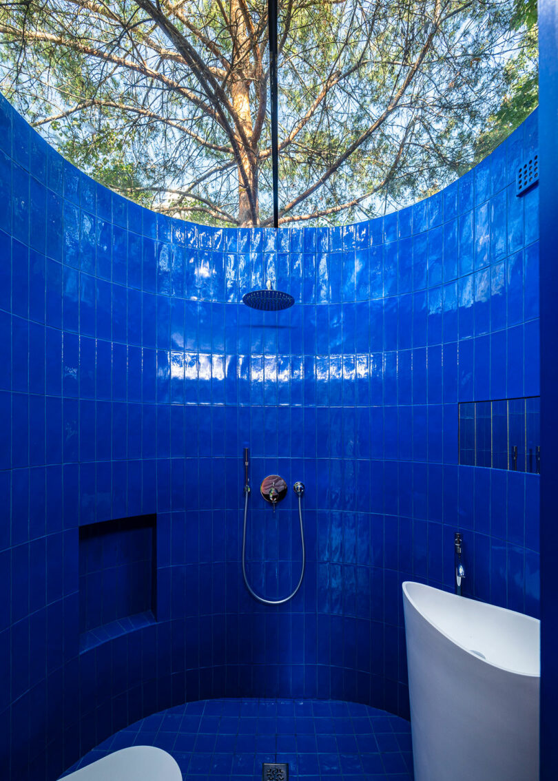 A shower area enclosed by blue-tiled walls, featuring a modern showerhead and fixtures. A large tree is visible through the curved glass roof.