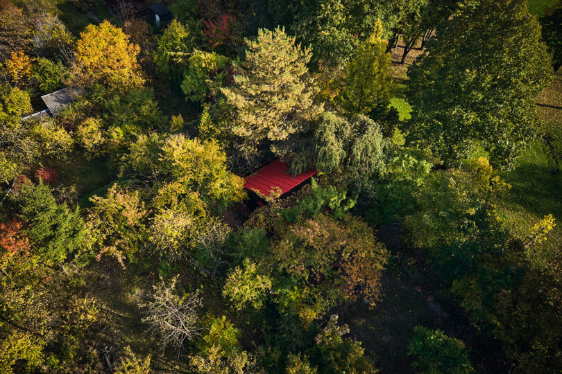 Aerial view of a forest with dense foliage in various shades of green and brown, partially revealing a red-roofed structure near the center.