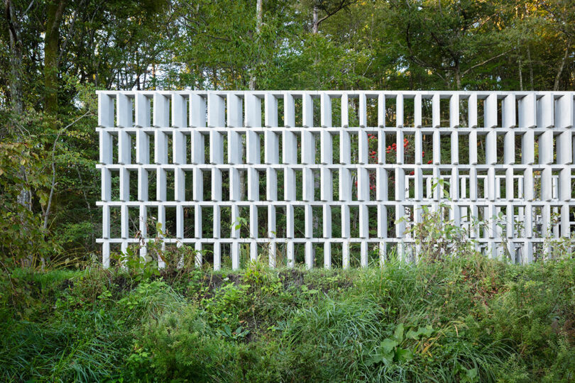 A white, geometric grid structure stands in a lush, green forest, partially obscured by foliage.