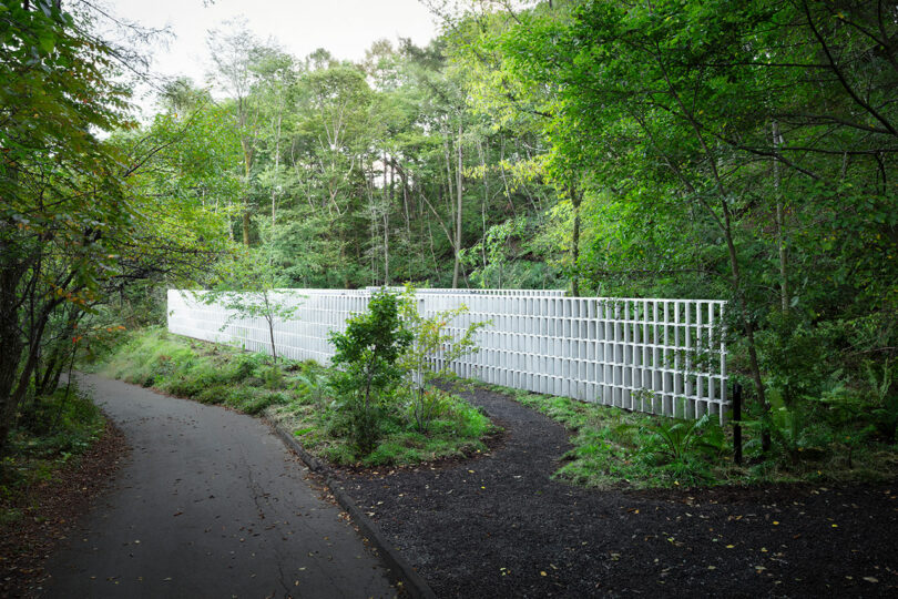 A white, grid-like structure is situated in a lush forest. Two divergent paths, one paved and one gravel, lead towards and away from the installation.