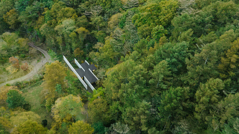 Aerial view of a rectangular modern house with a black roof surrounded by dense green forest and foliage. A path is visible on the left side of the image.