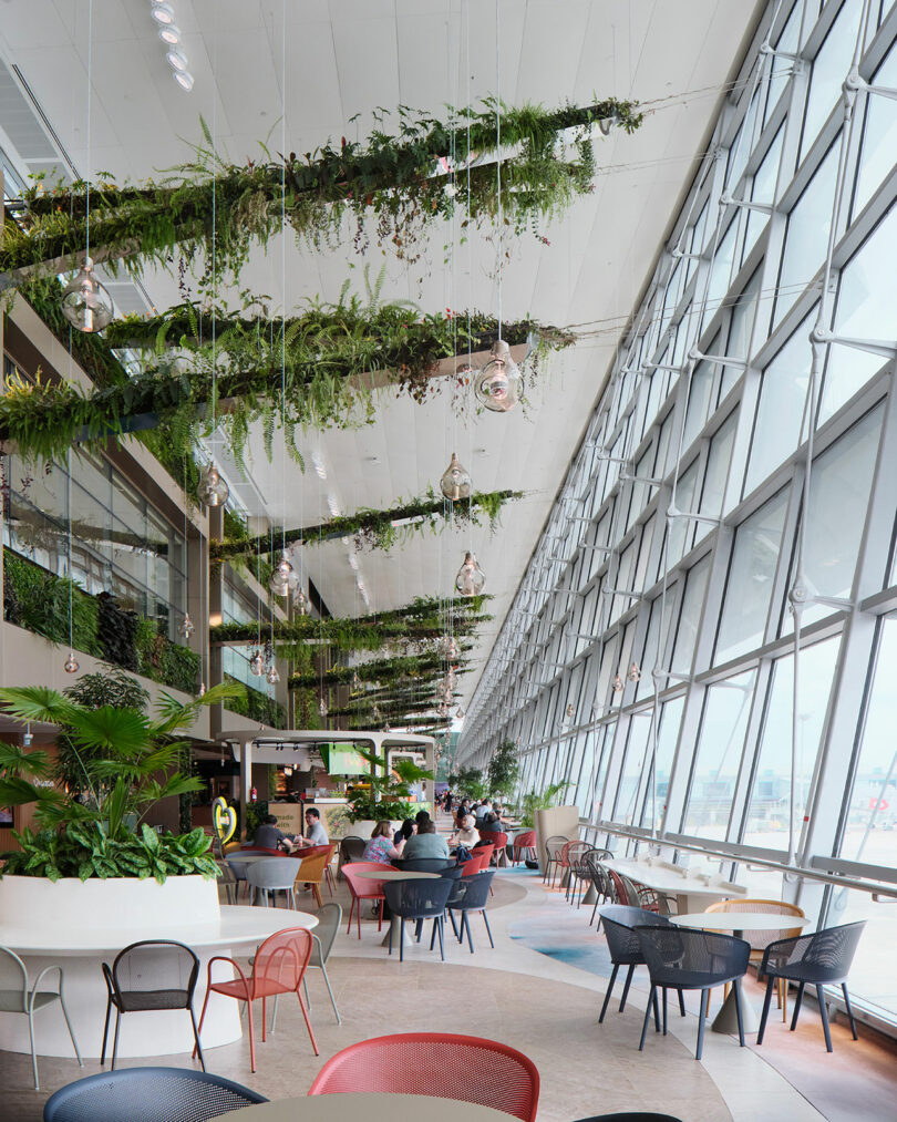 Spacious modern cafe with floor-to-ceiling windows, hanging plants, and various seating options, including colorful chairs and tables. People are dining and enjoying the bright, airy atmosphere.