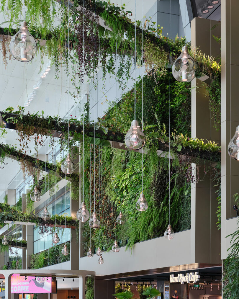 Indoor wall with vertical garden, modern hanging light fixtures, and greenery. Visible signage for Hard Rock Cafe. Bright, spacious interior with natural light.