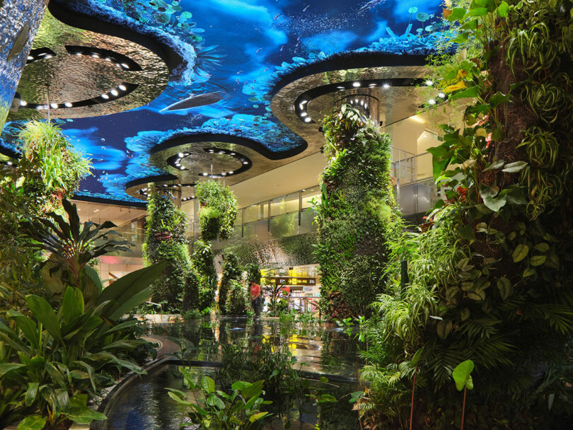 A lush indoor garden with tall green plant structures and a blue lit ceiling in a modern building.