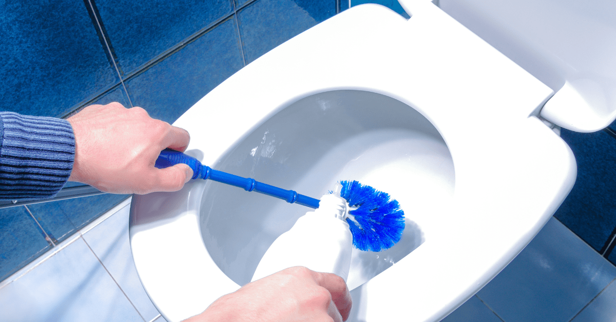 Using toilet brush and cleaner to clean a toilet.