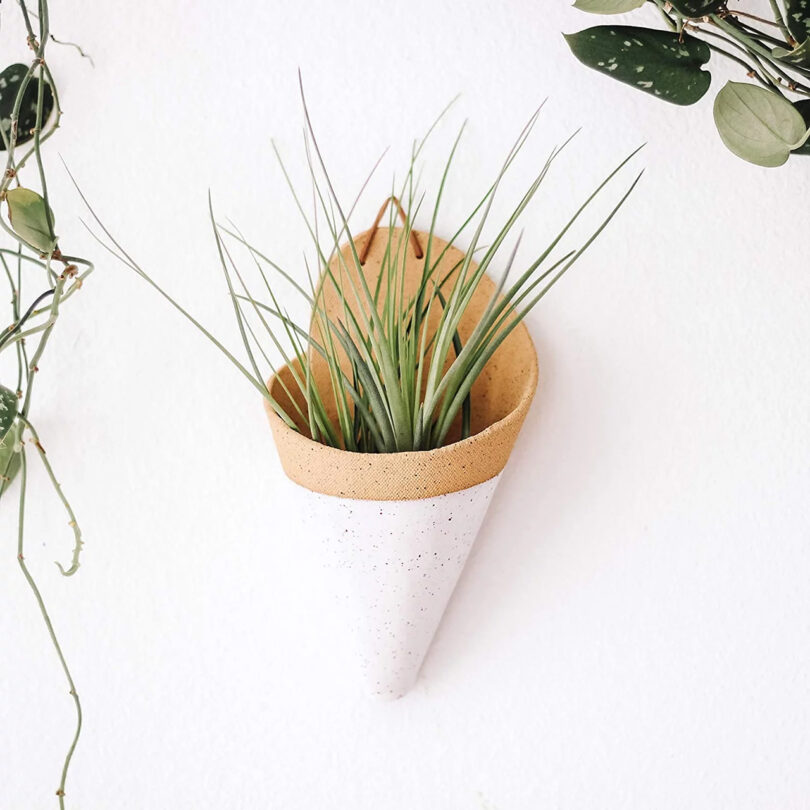 Wall-mounted ceramic cone-shaped planter with green grass, flanked by hanging plants against a white background.