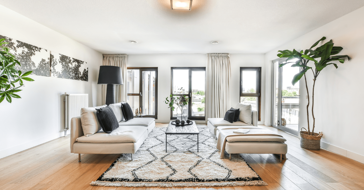 Large living room with two couches.