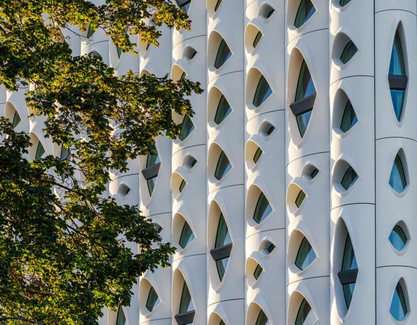 Unique architectural building facade with patterned geometric designs, featuring oval openings. A partial view of a tree with green leaves graces the left, adding a touch of nature to the scene.