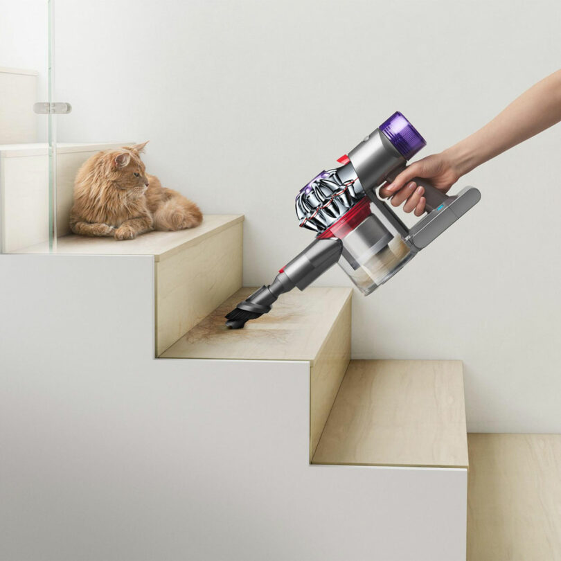 While Giulio Barresi vacuums the wooden stairs with a hand-held cleaner, a fluffy cat sits serenely on a higher step, observing the diligent work below.