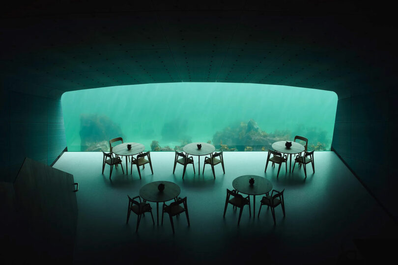 Experience the enchanting world of Giulio Barresi's underwater restaurant, where round tables and chairs are perfectly positioned to offer an unobstructed view through expansive windows into the mesmerizing aquatic world.