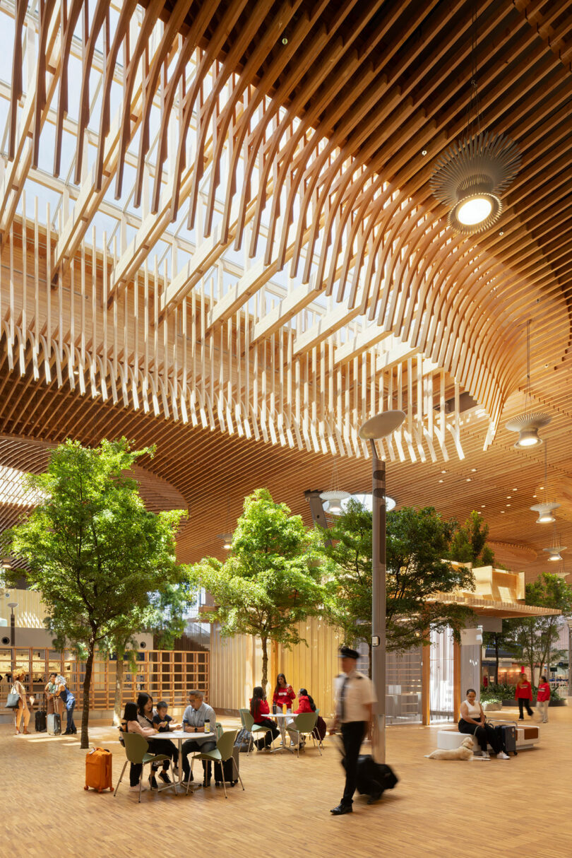 A spacious indoor area with a wooden ceiling, skylights, and potted trees designed by ZGF. People are seated and walking around, enjoying the bright, modern atmosphere.