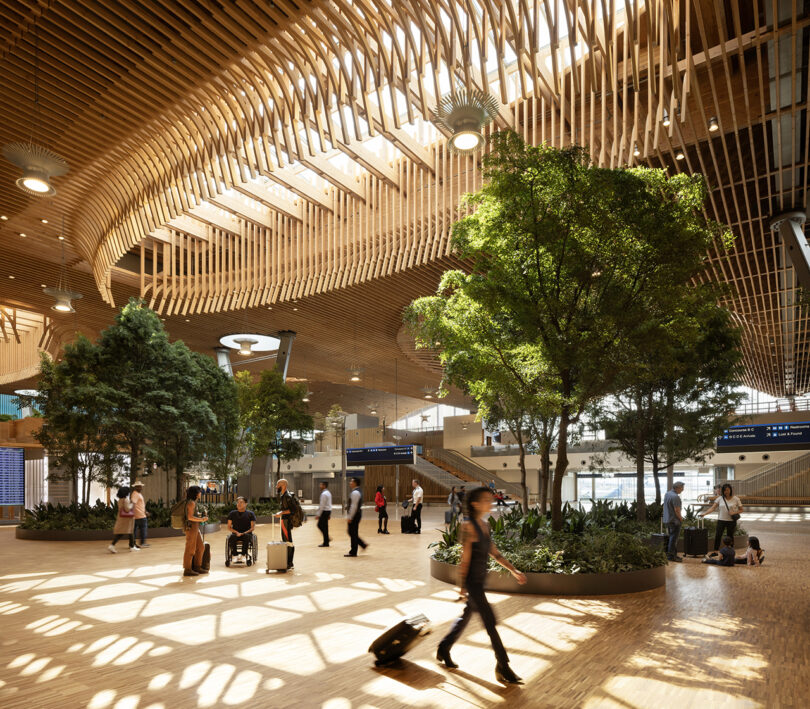 The spacious airport terminal, featuring ZGF's elegant wooden ceiling design, showcases indoor trees while travelers walk with luggage. Natural light filters through skylights, creating a serene ambiance.