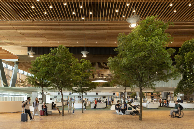 The spacious modern ZGF-designed airport terminal features a wooden ceiling, lush green trees, and people leisurely walking or sitting throughout the welcoming space.