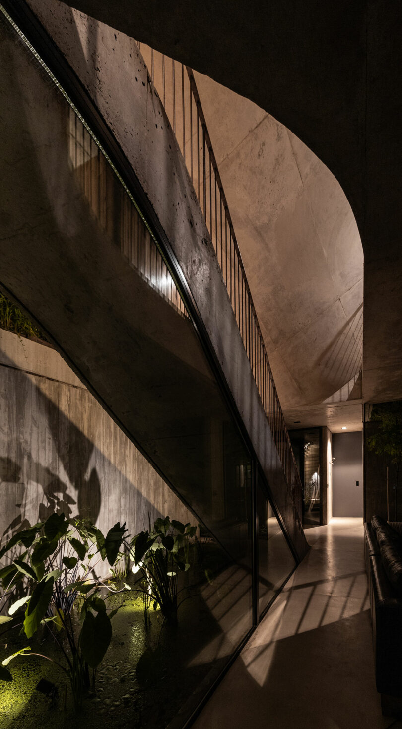 Concrete staircase with angular design, adjacent to a glass wall with leafy plants below. Shadows and light create patterns on the surfaces.