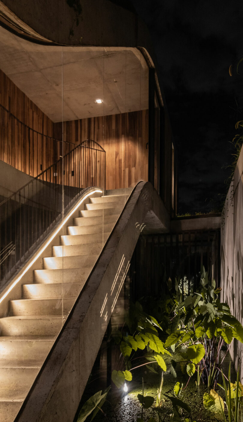 A concrete staircase with wooden walls and handrail lighting at night. Lush plants are visible at the base, next to a small water feature.