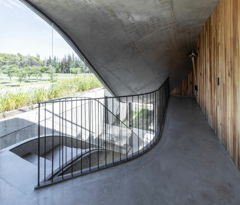 Curved concrete hallway with a metal railing and wooden wall, leading to a staircase. Large window offers a view of greenery and trees outside.